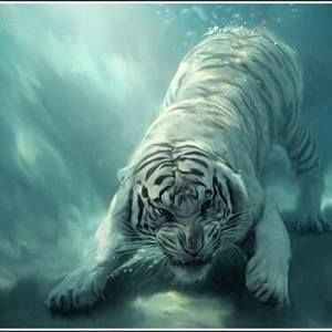 Meet your Posher, Gaby